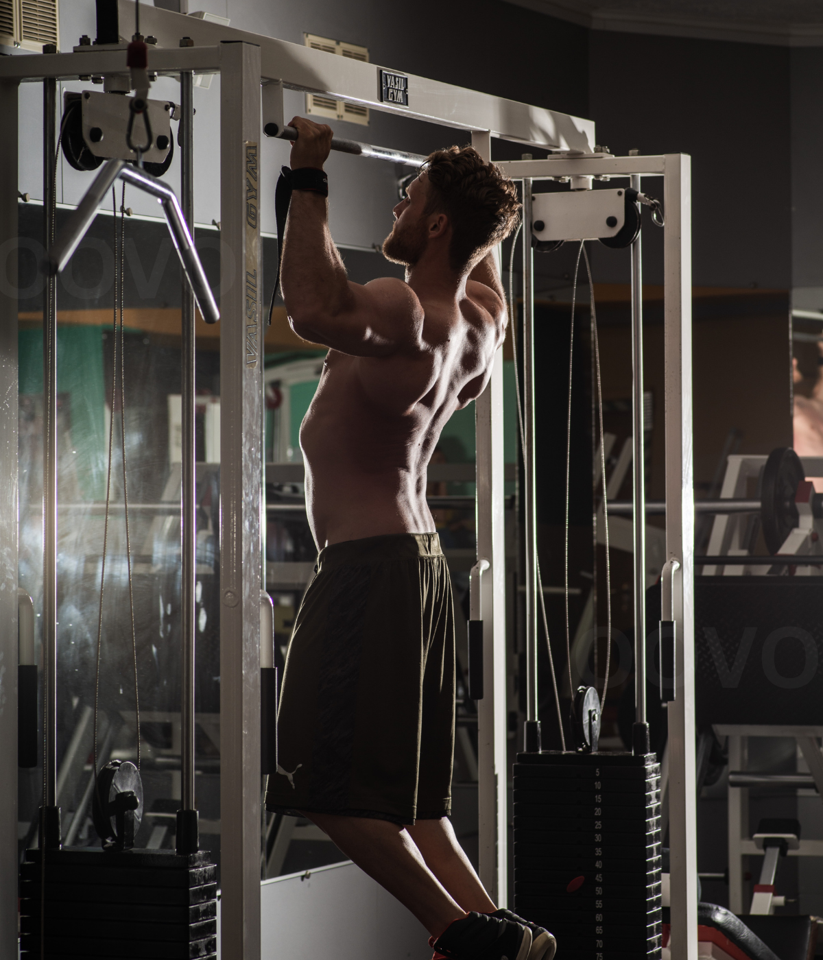 Online Gym Website Development