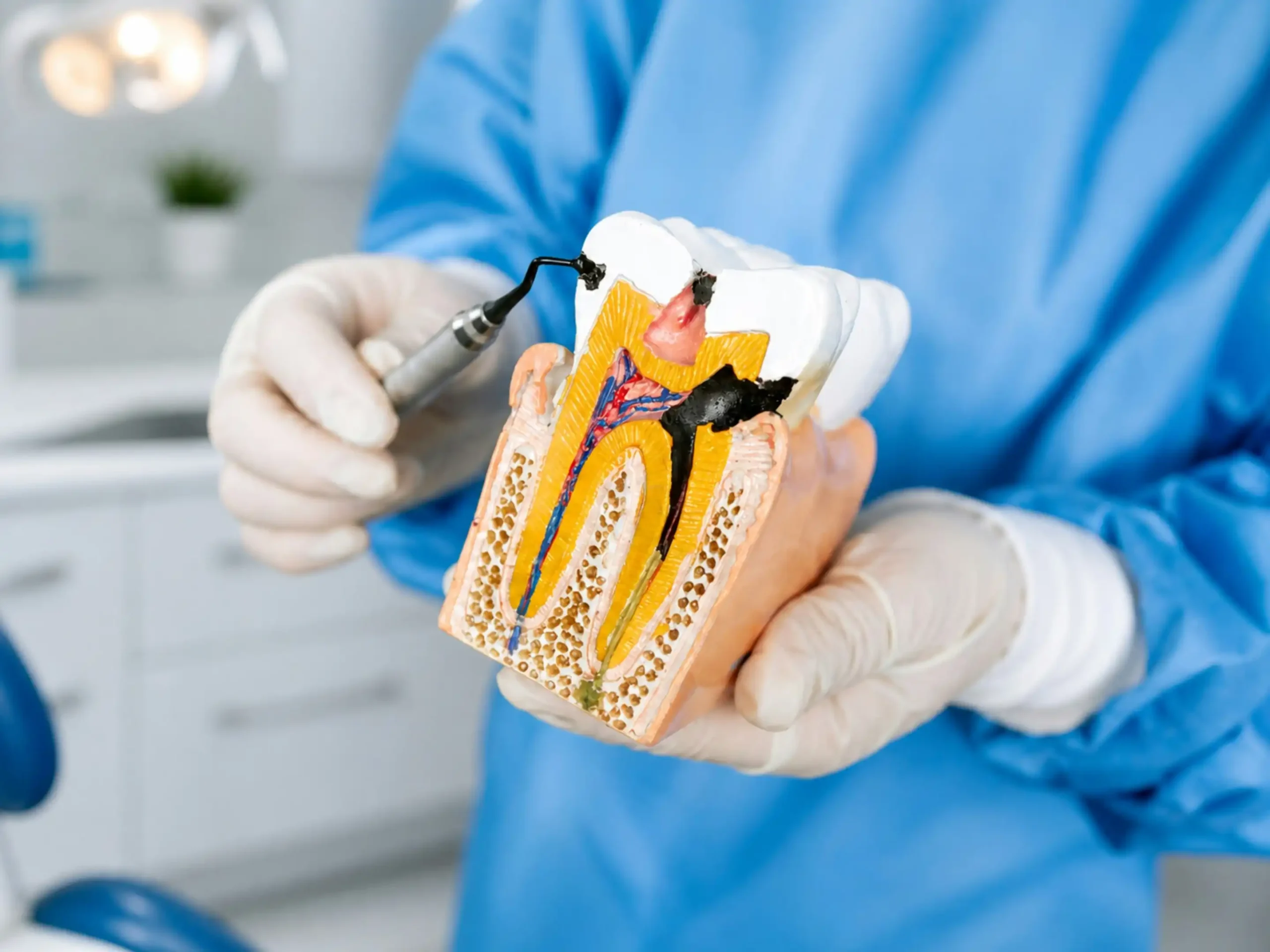 Oral Care Website Development Chennai