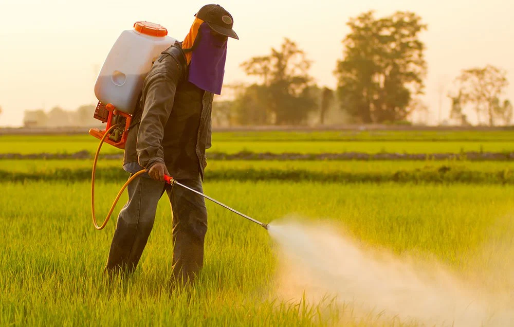 Pesticide and Fertilizer Website Development