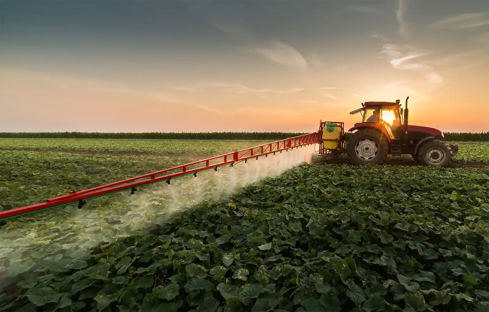 Online Pesticide and Fertilizer Website Development