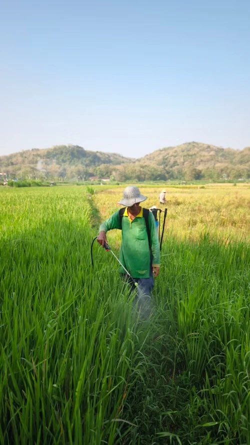 Pesticide and Fertilizer Website Development