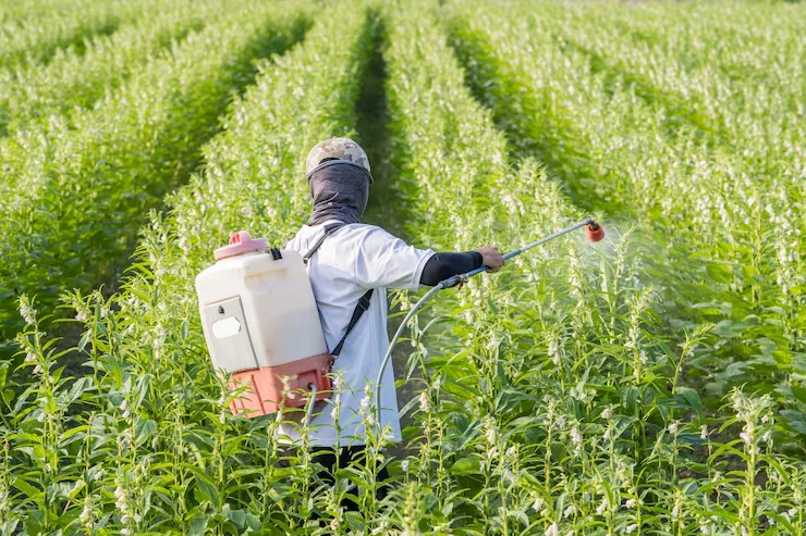Pesticide and Fertilizer Website Development