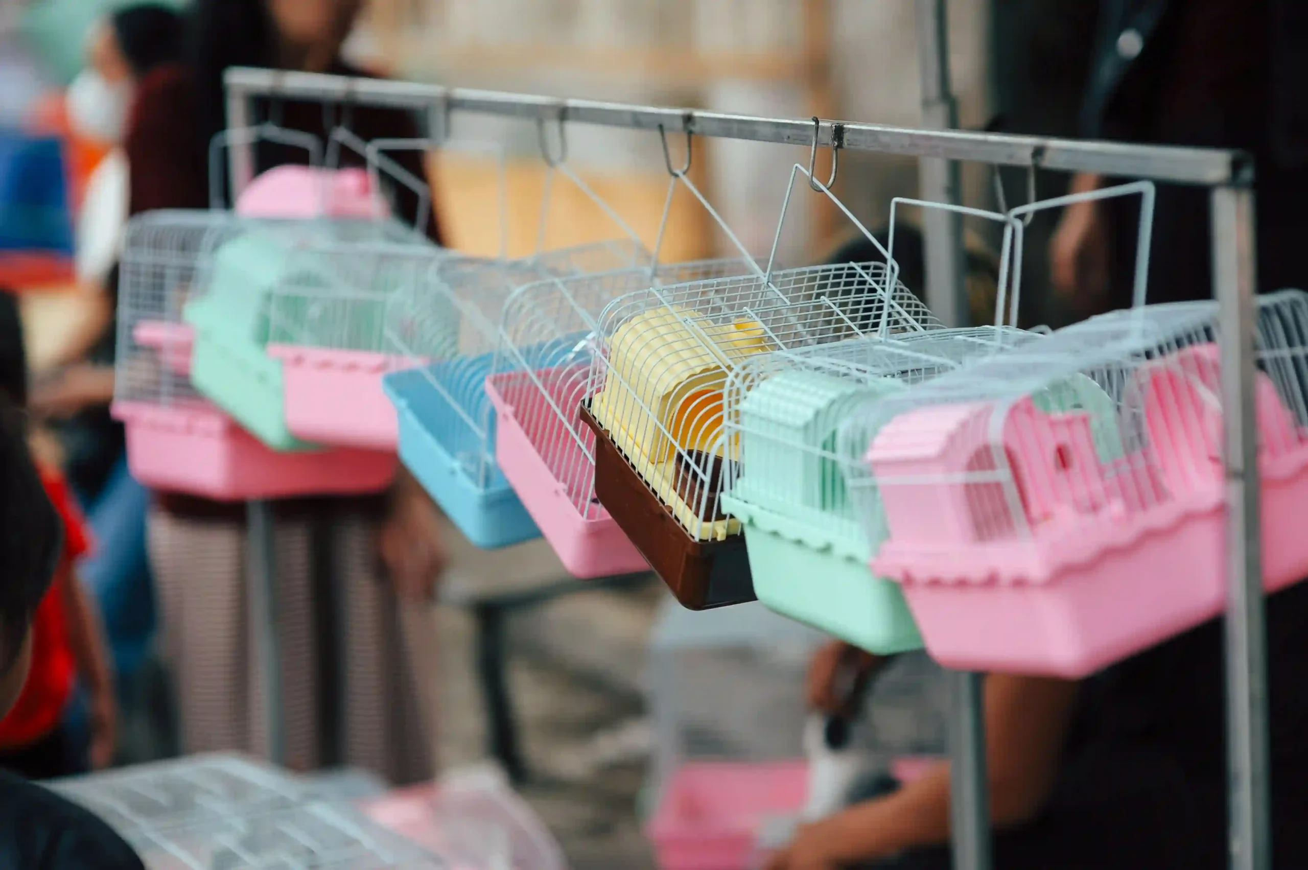 Pet Supplies eCommerce Website Development