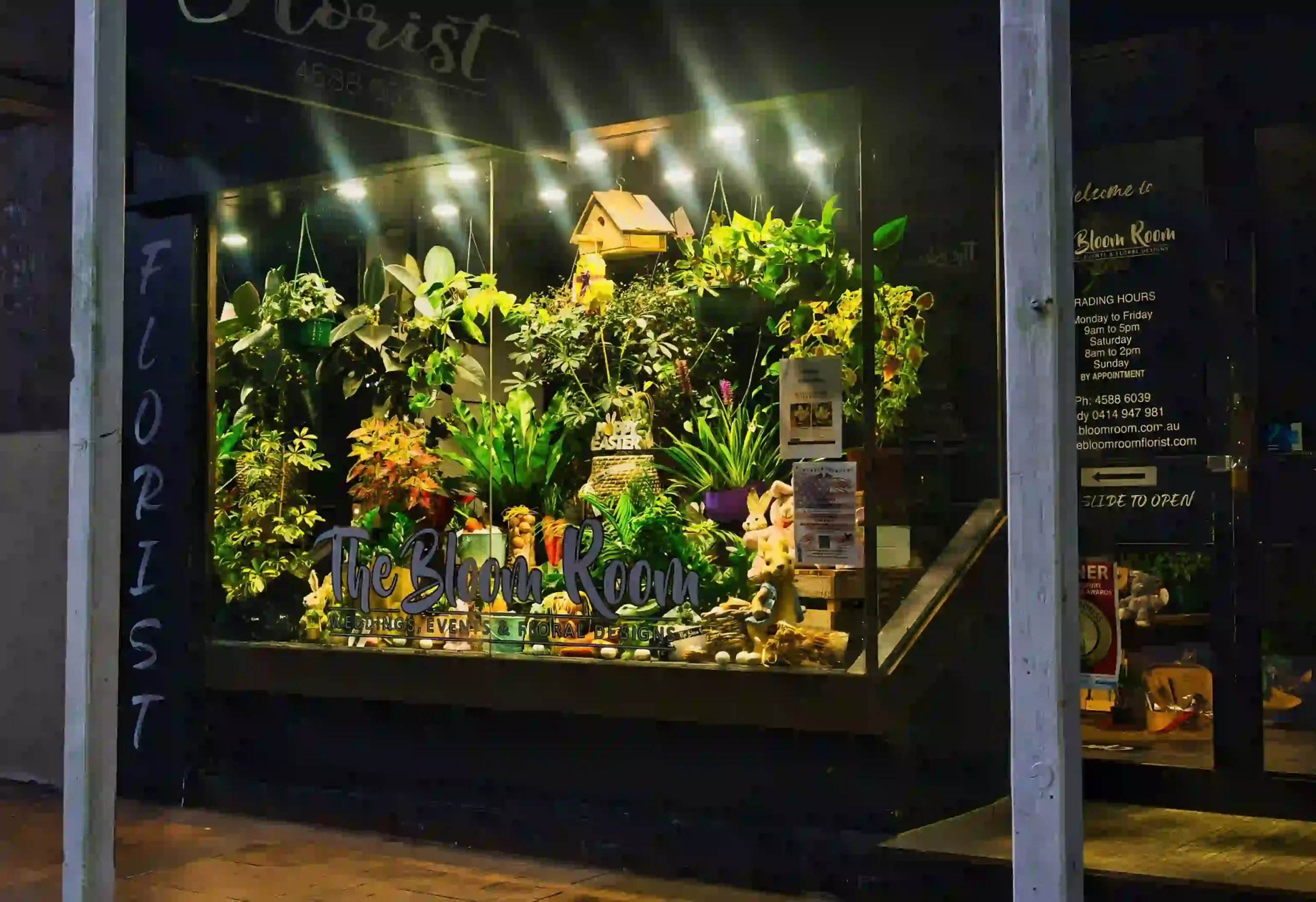 Plant Shop eCommerce Website Development